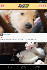 _device-2014-03-10-150550-dog.png